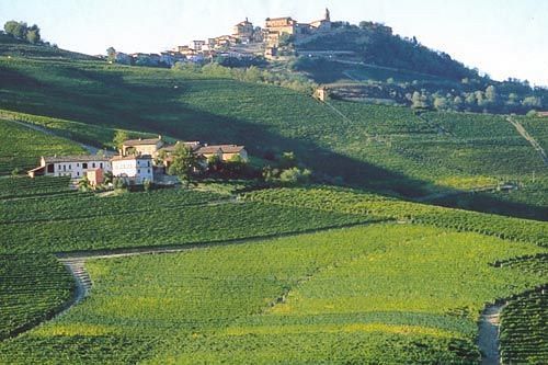 Cascina Rocca - Guest House Castiglione Falletto Ngoại thất bức ảnh